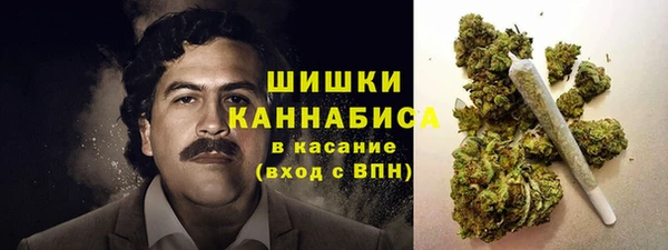 не бодяженный Богданович
