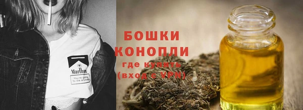 ГАЛЛЮЦИНОГЕННЫЕ ГРИБЫ Белоозёрский