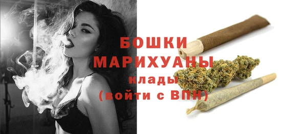 шишки Белокуриха