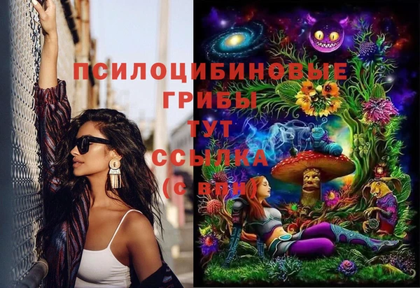 шишки Белокуриха