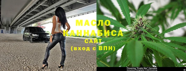 шишки Белокуриха