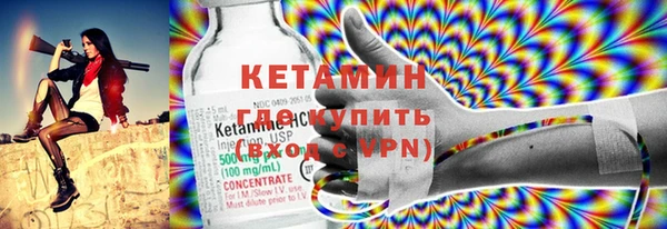 шишки Белокуриха