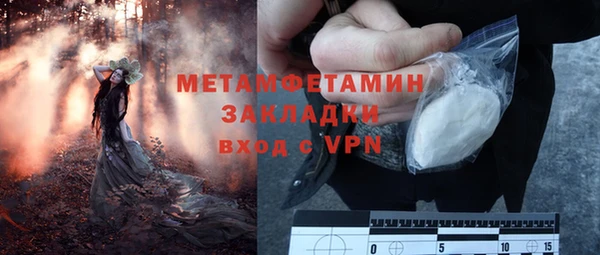 ГАЛЛЮЦИНОГЕННЫЕ ГРИБЫ Белоозёрский