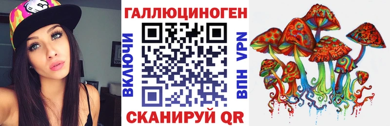 блэк спрут как войти  Краснознаменск  Псилоцибиновые грибы мицелий 