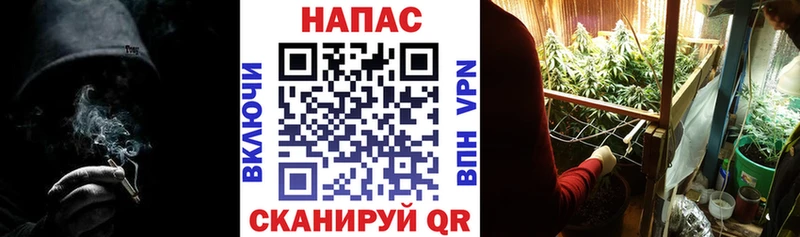 Каннабис SATIVA & INDICA  хочу наркоту  Краснознаменск 